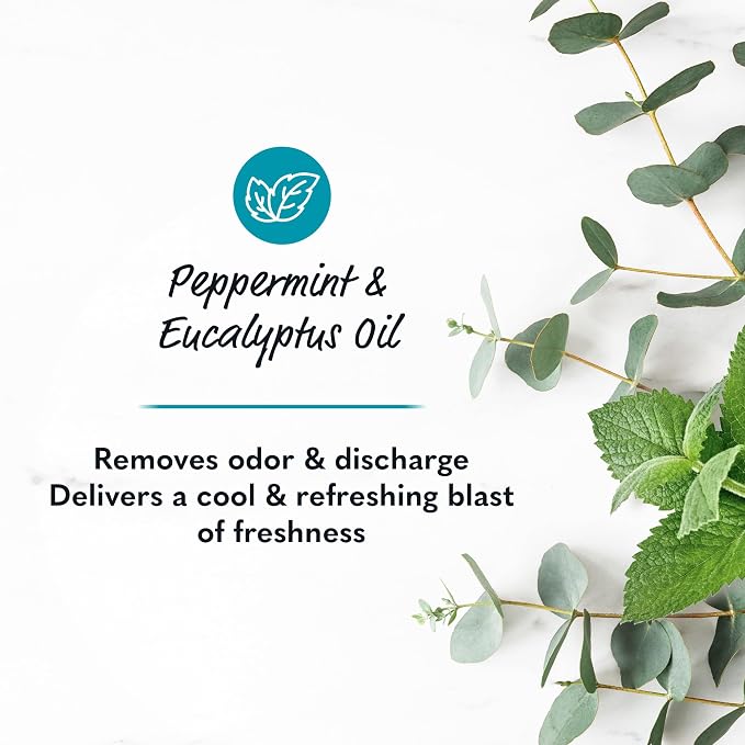 Summer's Eve Perimenopause Cooling Wash, Cooling pH-Balanced Formua with Eucalyptus to Remove Odor, 15 Fl Oz