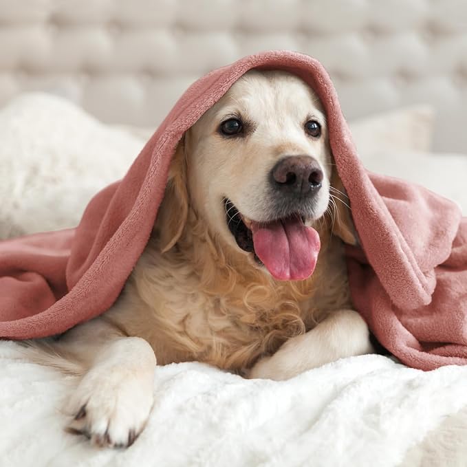 BEDELITE Fleece Blanket Soft Plush Twin Size Blanket Dusty Pink 60"x80" | Ultra Soft Fleece, Plush Microfiber, Lightweight Warmth, All Season Comfort, Fade Resistant, Machine Washable, Couch Sofa Bed