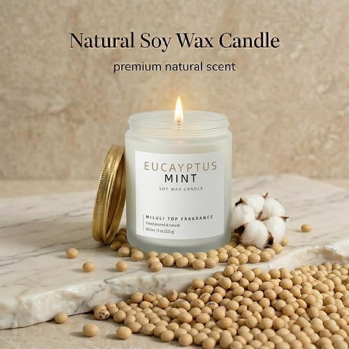Eucalyptus Mint Scented Candles for Home - 15% Essential Oil Luxury Aromatherapy - Handmade Natural Soy Wax Candle for Women Men Relaxation - 9oz Frosted White Jar,50H Clean & Non-Toxic Burn