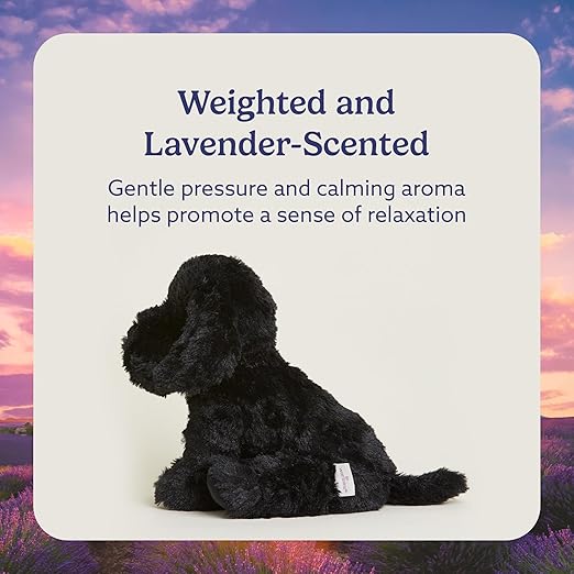 Warmies Black Labrador Microwavable, Hot or Cold for Cool Relaxation and Warm Relief, Lavender Scented Cozy Plush Animal