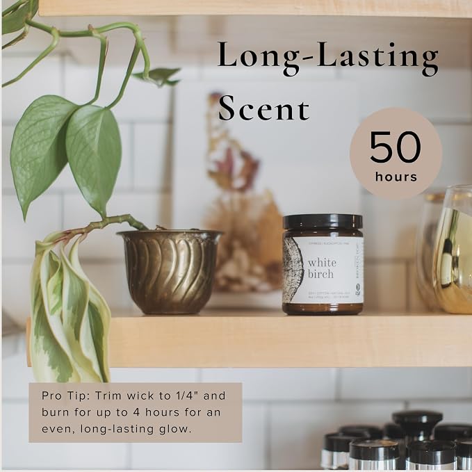Broken Top - White Birch Pure Soy Wax Candle | 9 oz. | Cypress, Eucalyptus & Pine. 50-Hour Burn Time. Natural Cotton Wick, Vegan, No Parabens, No Phthalates