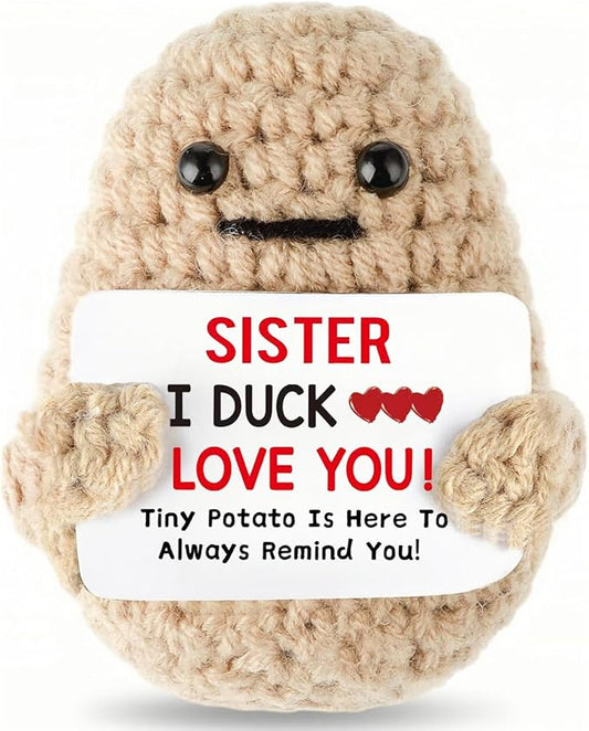 Sister Birthday Gifts Positive Potato Inspirational Gifts for Women Christmas Stocking Stuffers (I Duck Love Sister)