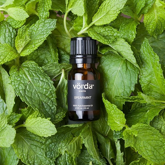 Vorda USA Spearmint Single Noted Essential Oil - 1/3 fl. oz. Perfect for Aromatherapy Essential Oil for Diffusers, Skin Use Massage Oil, Candle Making