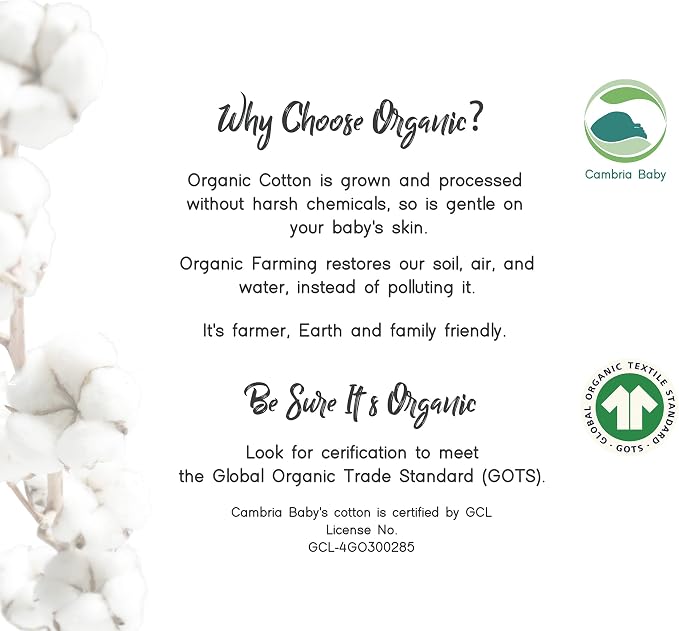 100% Organic Cotton Fitted Sheets for Graco Pack n Play, Babyletto, Pamo Babe, Hiccapop, Dream on Me, Evenflo, Baby Trend, Hygge Hush Portable/Mini Crib/Playards, Beka Bedside Bassinet 2 Pk