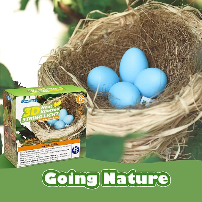 CHARTEKS Bird Nest Craft Kit with LED String Lights - DIY Nature Arts and Crafts STEM Project for Kids & Adults, Creative Home Decor Gift for Boys Girls Ages 8-12