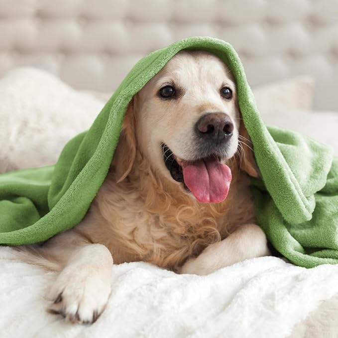 BEDELITE Fleece Blanket Soft Plush Queen Bed Blanket Grass Green 90"x90" | Ultra Soft Fleece, Plush Microfiber, Lightweight Warmth, All Season Comfort, Fade Resistant, Machine Washable,Perfect for Bed