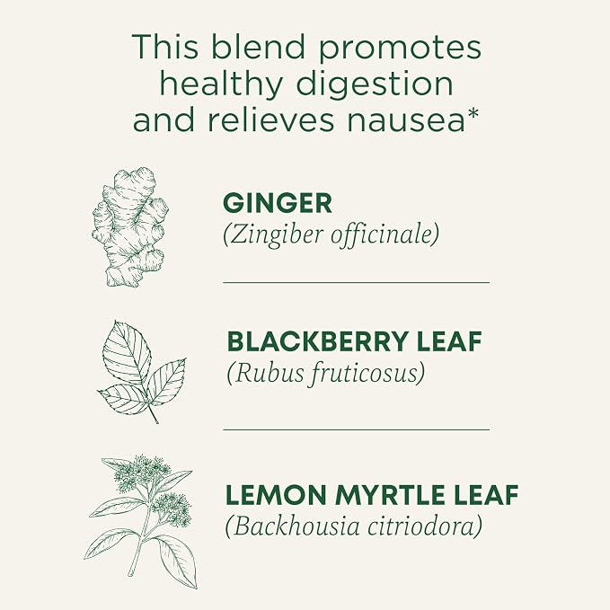 Traditional Medicinals Tea, Organic Ginger Aid, Promotes Healthy Digestion, 16 Tea Bags