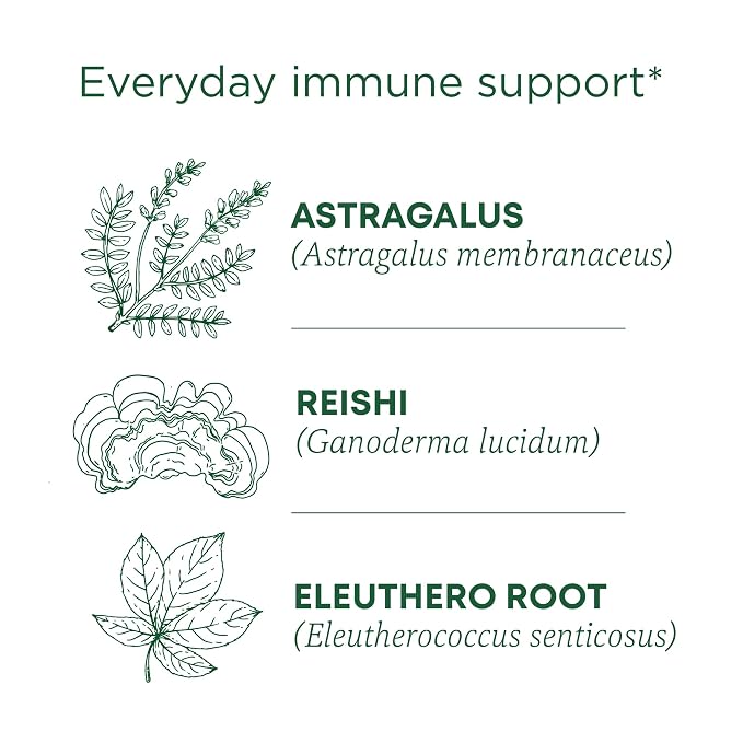 Traditional Medicinals Organic, Stress Ease Immune with Adaptogens, Reishi Warming Spice - Immune Support with Astragalus - Kosher, Non-GMO, Caffeine-Free, Compostable - 16 Count (Pack of 2)