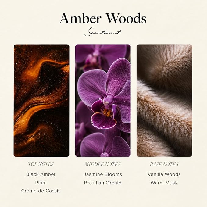 Scentiment Amber Woods Diffuser Oil - Premium Hotel Scent with Notes of Black Amber, Plum, & Crème de Cassis Home Scent, Aromatherapy Fragrance Oil Diffuser Refill - 4.06 fl oz (120 mL)