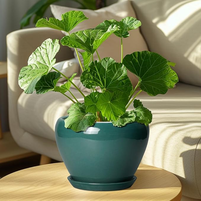 Ceramicfor 8 Inch Plant Pot - Ceramic Planter for Indoor Outdoor Plants, Glaze Modern Round Ceramic Flower Pot with Drainage Hole and Saucer, Gifts for Plant Lover, Home Office Patio Decor, Green