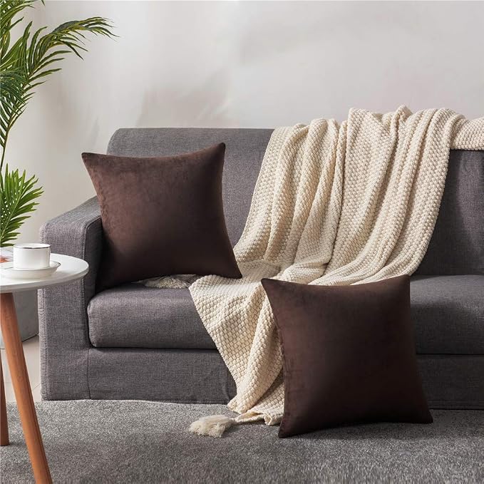 Throw Pillow Covers 16x16 Chocolate Brown: Pack of 2 Cozy Soft Velvet Square Modern Luxury Decorative Throw Pillow Cases for Sofa Couch Living Room Bed Home Decor