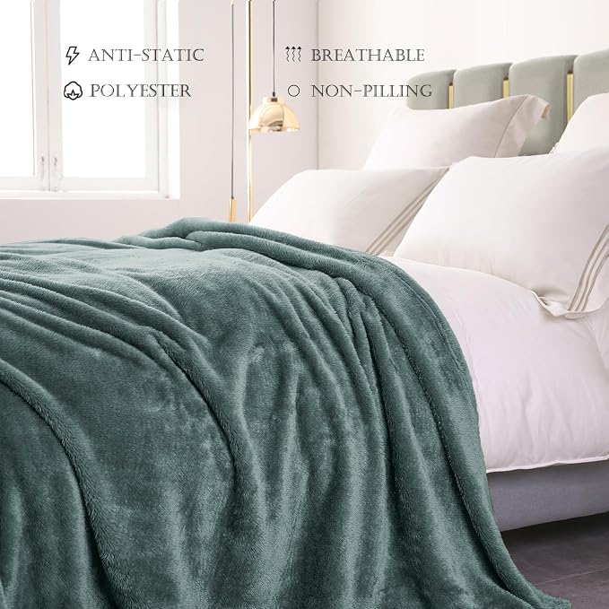 Exclusivo Mezcla Fuzzy Plush Fleece Bed Blanket King Size, Celadon | 104x90 Inches, Super Soft and Cozy Bed Blanket, Fluffy Decorative Bedding for Livingroom, Bedroom, All Season