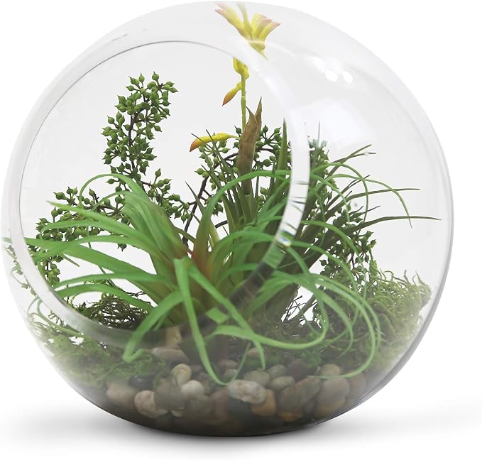 WGV Slant Cut Bowl Glass Vase, Width 9", Height 9", Clear Round Globe Planter Terrarium Orb, Candy Dish, Fruit Jar, Floral Container for Home Office Decor, 1 Piece