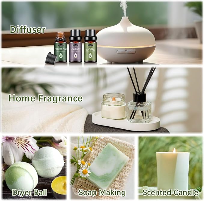 Essential Oils Set, Nature Scents Fragrance Oil Aromatherapy Essential Oils Kit for Diffuser (6x10ML) Sandalwood &Rose, Bamboo, Rain, Lavender &Chamomile, Fresh Cut Grass, Forest Pine Oil