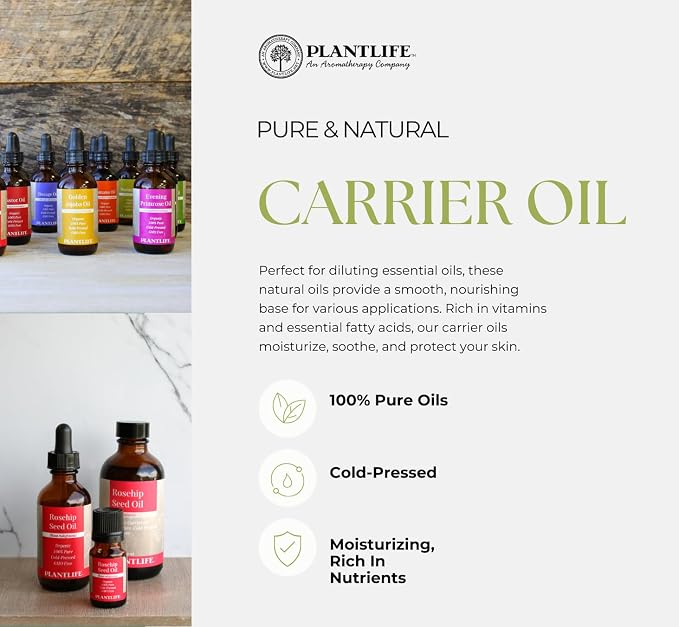 Plantlife Apricot Kernel Carrier Oil - Cold Pressed, Non-GMO, and Gluten Free Carrier Oils - for Skin, Hair, and Personal Care - 4 oz