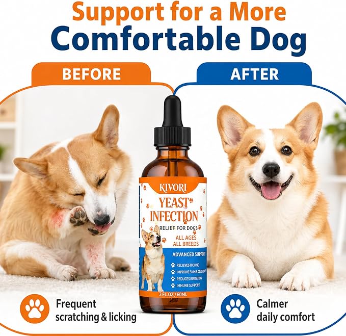 Kivori Yeast Infection Drops for Dogs, 2fl.Oz/60ml Yeast Infection Treatment for Dogs, Anti Yeast Drops, Ear and Paw Itch, Herbal Dog Supplement Drop for All Ages All Breeds. (1PCS)