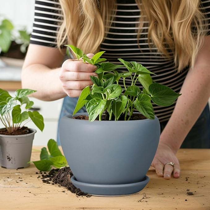 Ceramicfor Ceramic Pot for Plants - 6 Inch Plant Pot Indoor with Drainage Hole and Saucer Decorative Planter for Outdoor Plants Modern Succulent Pots Round Flower Pots Gray