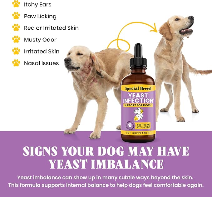 Natural Yeast Infection Relief for Dogs – Itchy Skin & Ear Treatment, Supports Allergy & Immune Health, Reduces Itching, Irritation & Inflammation, Liquid Drops, 4oz