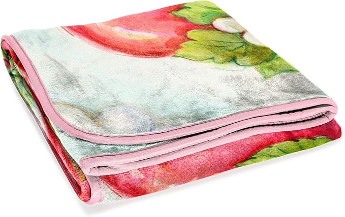 Jay Franco Kids Plush Throw Blanket – Soft & Comfy Throw for Couch or Bed – Cozy Home Décor for Living Room & Bedroom, Multi - Strawberry Shortcake, 46x60 - Throw Blanket