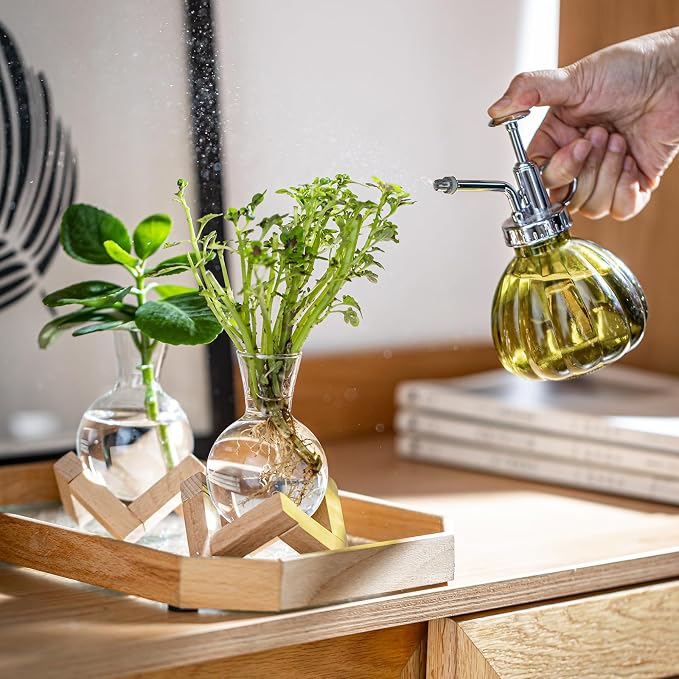 Propagation Stations, Propagation vases with Wooden Stand, Small Tabletop Glass Bulb Vases for Hydroponics Plant Propagation Station Home Office Decoration, Gift for Women Plant Lovers (4)