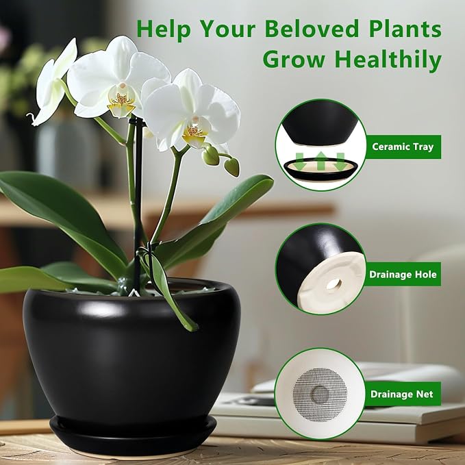 Ceramicfor Ceramic Planter Pot - 6 Inch Plant Pot with Drainage Hole and Saucer Round Planter for Indoor Plants Outdoor Succulent Pot Modern Flower Pot for Home Decor Black