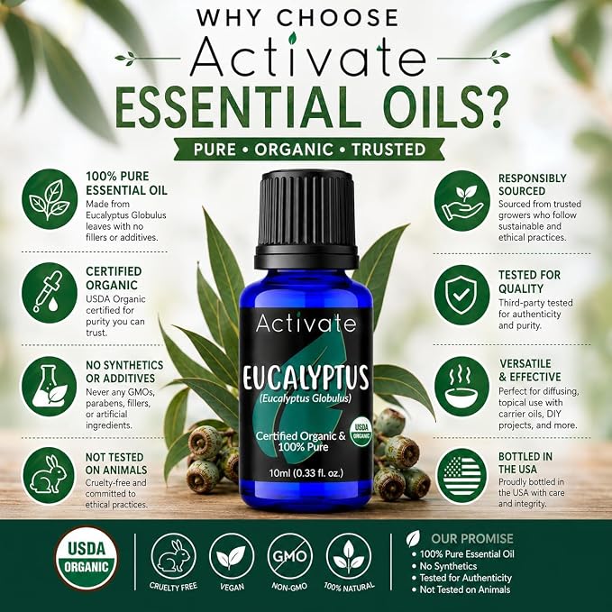 Eucalyptus Essential Oil Organic, USDA Organic, 100% Pure Eucalyptus Globulus, Steam Distilled Essential Oil for Aromatherapy, Diffuser, Massage, Humidifier & DIY Projects, 10ml