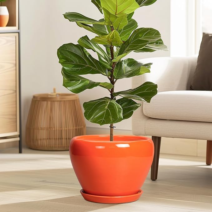Ceramicfor Ceramic Pot for Plants - 10 Inch Plant Pot with Drainage Hole and Saucer, Modern Round Glaze Planter for Indoor Outdoor Plants, Plant Lover Gifts, Home Garden Office Decor, Orange