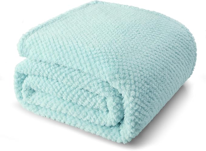 Whale Flotilla Soft Fleece Twin Size Bed Blanket, Light Blue | 60x80 Inch, Suitable for Bed, Fluffy Fuzzy Jacquard Blankets for All Season, Lightweight and Cozy
