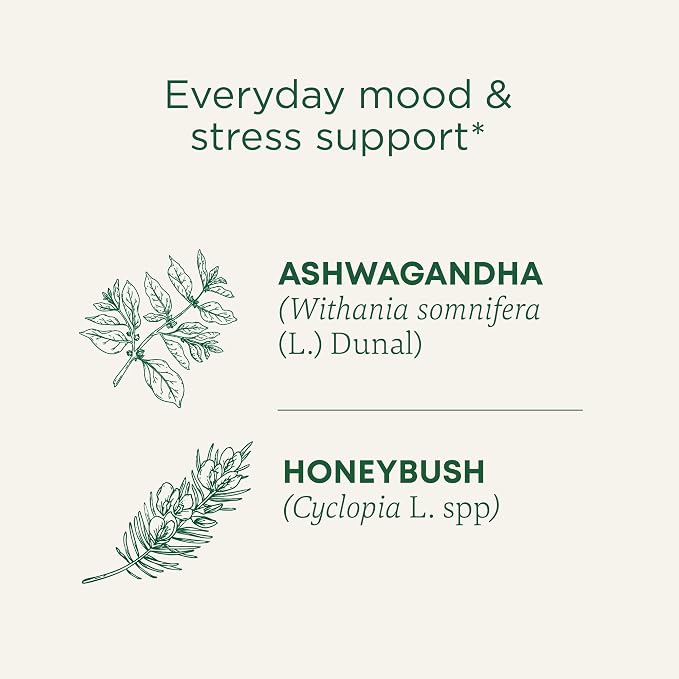 Traditional Medicinals Organic, Stress Ease Calm with Adaptogens, Ashwagandha & Honeybush - Promotes Relaxation - Kosher, Non-GMO, Caffeine-Free, Compostable - 16 Tea Bags