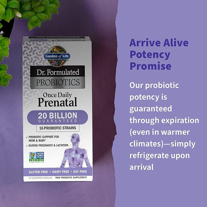 Garden of Life Dr. Formulated Probiotics Once Daily Prenatal - 20 Billion CFU - Dietary Supplement for Mom & Baby - 30 Vegetarian Capsules