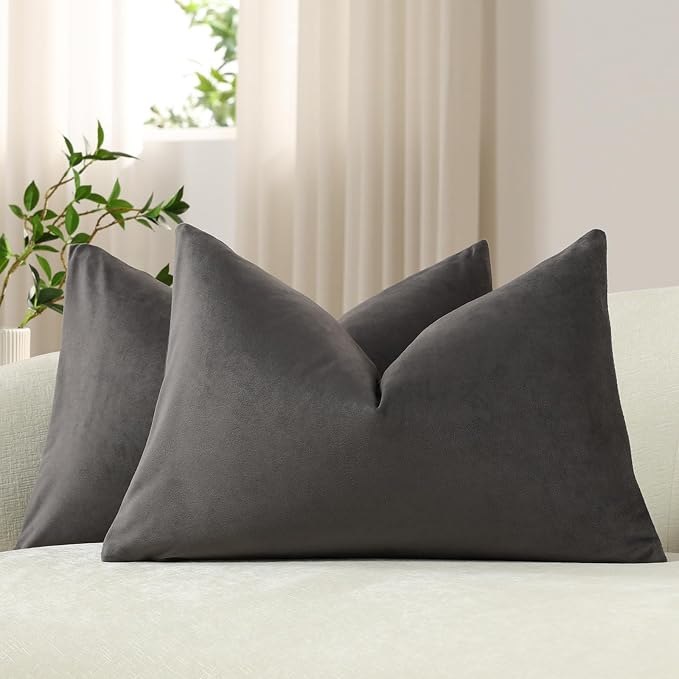 Lumbar Pillow Covers 12x20 Dark-Grey: Pack of 2 Cozy Soft Velvet Rectangular Modern Luxury Decorative Throw Pillow Cases for Sofa Couch Living Room Bed Home Decor