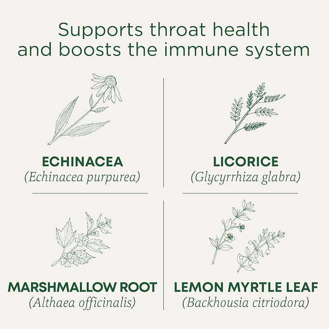 Traditional Medicinals, Organic Lemon Echinacea Throat Coat, 16 ct (Pack of 2)