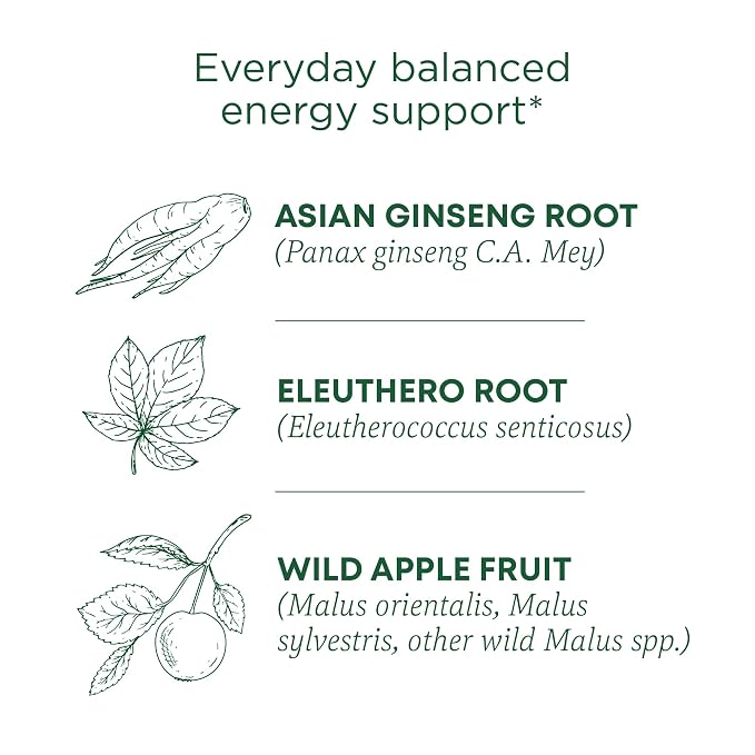 Traditional Medicinals Organic, Stress Ease Focus, Ginseng Wild Apple Mint Tea - Balanced Energy Support & Adaptogens - Kosher, Non-GMO, Caffeine-Free, Compostable - 16 Tea Bags