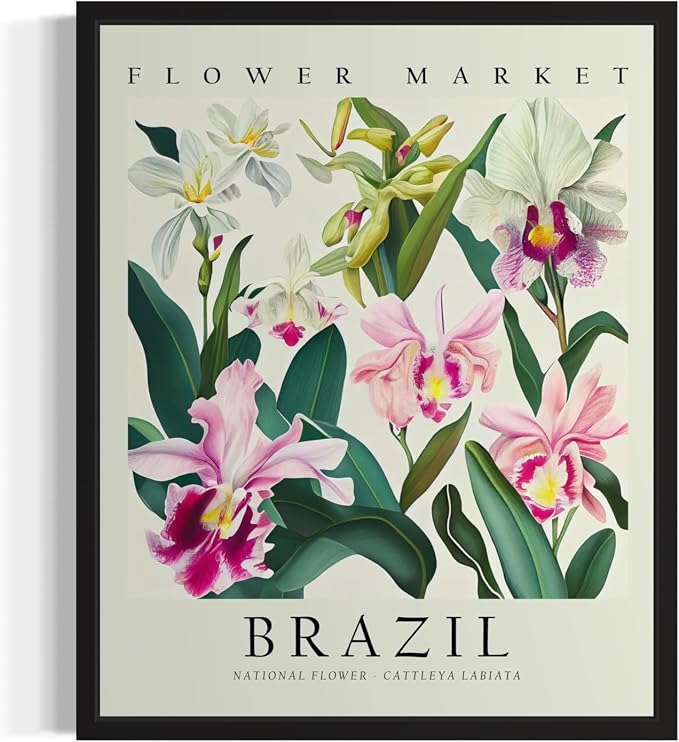 Brazil, Cattleya Labiata Black Framed Art Print Poster, Flower Market Wall Art, Floral Artwork Decor for Bedroom, Kitchen, Bathroom, Livingroom Decoration 52 (Brazil, Cattleya Labiata, 14"L x 11"W, Black Frame)