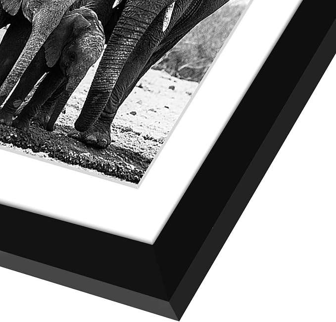Americanflat 11x11 Picture Frame with Shatter-Resistant Glass - Use as 8x8 Frame with Mat or Display 11x11 Photo Without Mat - Signature Collection - Square Frames for Wall Display - Black | Shatter-resistant glass, sawtooth hangers included, use with ...