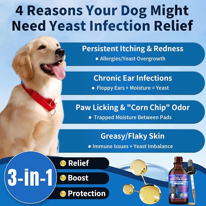 Natural Yeast Infection Treatment for Dogs | Probiotic-Powered Drops with 8-Herbal Blend | Supports Skin, Ears, Allergy Relief | Dog Yeast Infection Treatment Oral Supplement | Bacon-Flavored