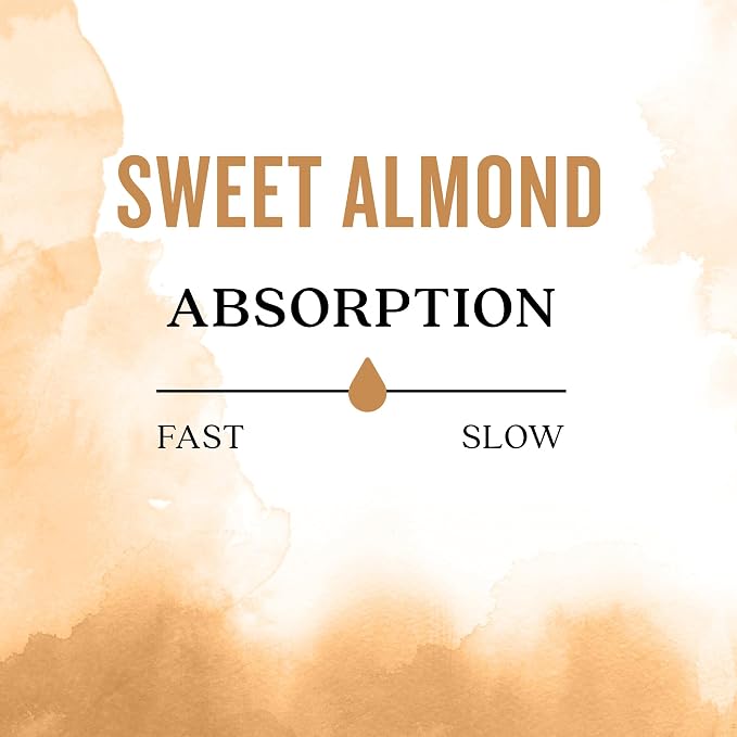 Aura Cacia Natural Skin Care Oil Sweet Almond | 16 Fl Oz (Pack of 2)