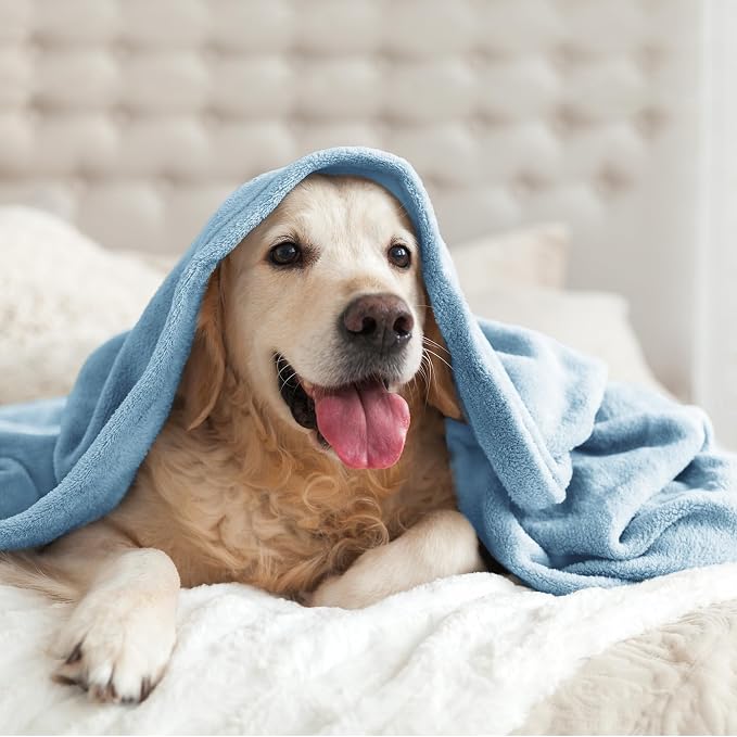 BEDELITE Fleece Blanket Soft Plush Throw for Couch Washed Blue 50"x60" | Ultra Soft Fleece, Plush Microfiber, Lightweight Warmth, All Season Comfort, Fade Resistant, Machine Washable, Couch Sofa Bed