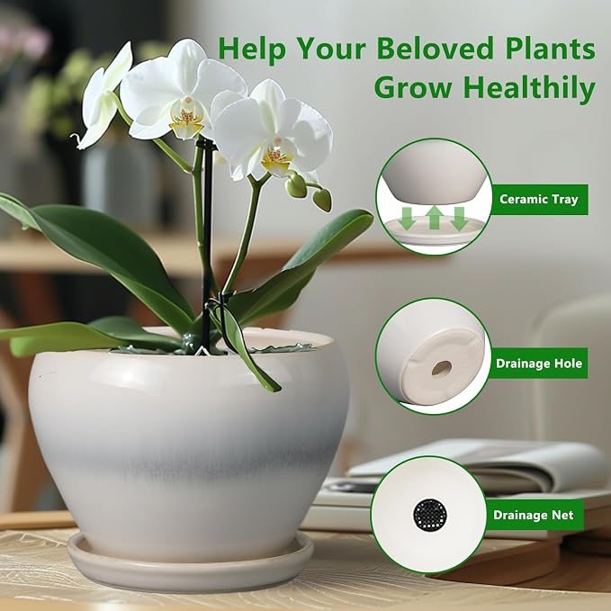 Ceramicfor Planter Pot 6 Inch - Ceramic Plant Pot with Drainage Hole and Saucer, Round Glaze Succulent Pot for Plants, White