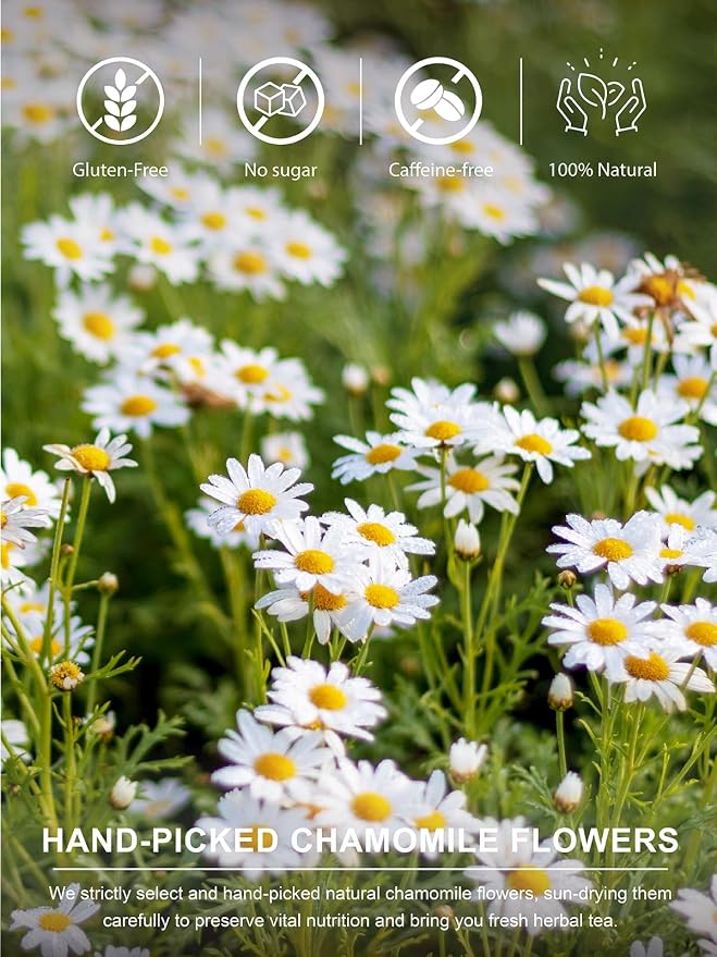 TeeLux Chamomile Tea Loose Leaf, Whole Natural Chamomile Flowers, Floral Aroma & Smooth Taste, Caffeine Free, 4oz