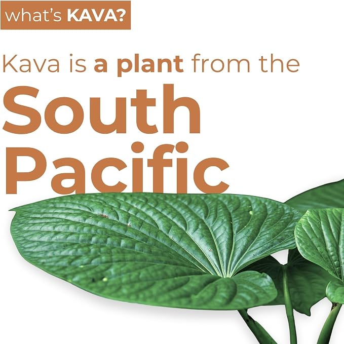 Leilo | Kava Powered Moscow Mule Mocktail Drink | Sugar-Free & Non-Alc Functional Relaxation Support | 12 fl oz Cans (Pack of 12)