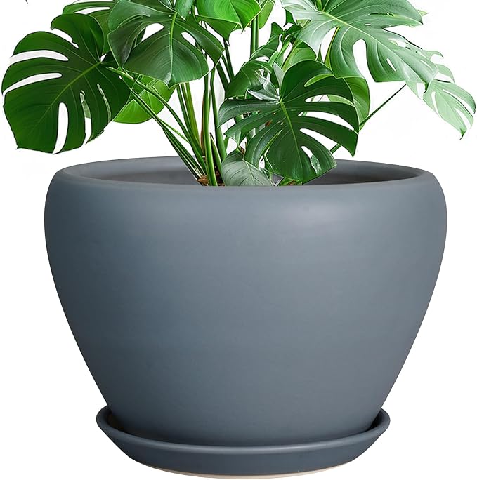 Ceramicfor 10 Inch Plant Pot - Ceramic Planter for Indoor Plants Large Plant Pot with Drainage Hole and Saucer Round Outdoor Planter Modern Flower Pot for Home Decor Gray