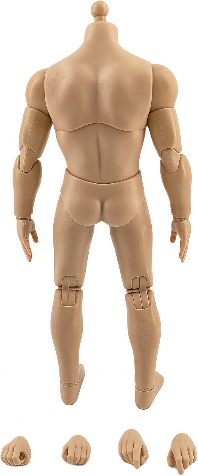 1:12 Male Action Figure Body – 6 Inch Highly Articulated Muscle Figure Base for Custom Military Models, Kitbashing, and Display Builds (2-Part Waist)