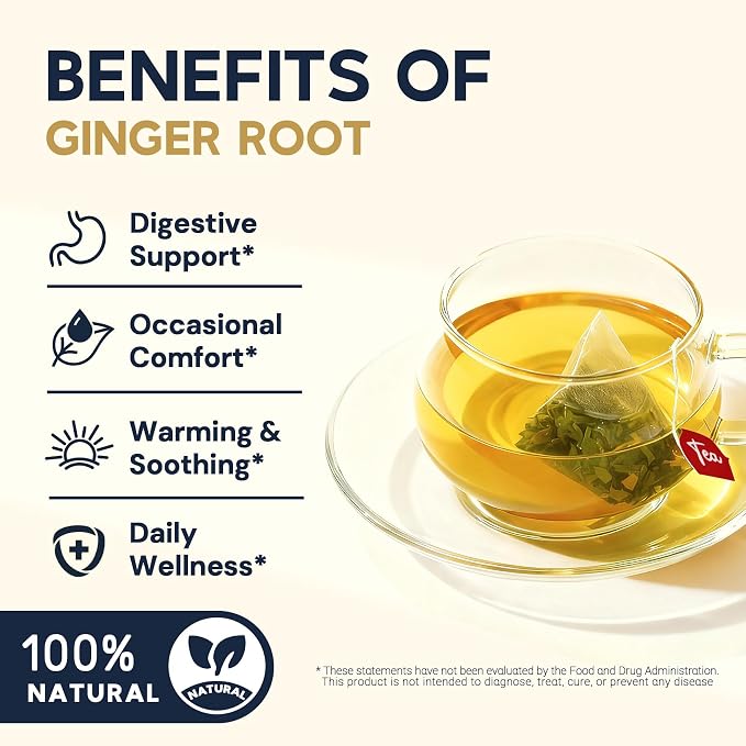 Ginger Root Herbal Tea - Caffeine Free, 100 Teabags