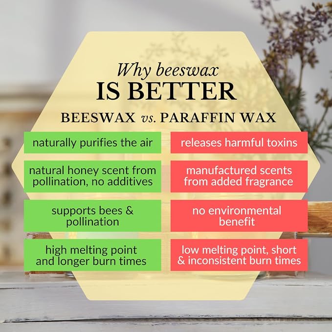 Big Dipper Wax Works Beeswax Aromatherapy Candle, Rejuvenation - Sweet Orange & Clove Bud, Apothecary Glass, Essential Oils, 100% Natural Beeswax, 20-Hour Clean Burn, Uplifting & Energizing, 2" x 2.5"