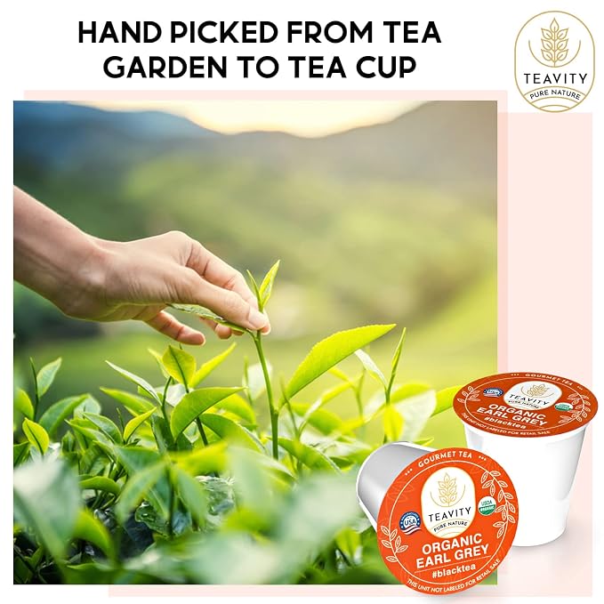 Organic Earl Grey Tea Pods for Keurig - Caffeinated Unsweet Black Tea for K Cup Brewing by Teavity (36 Tea Pods)
