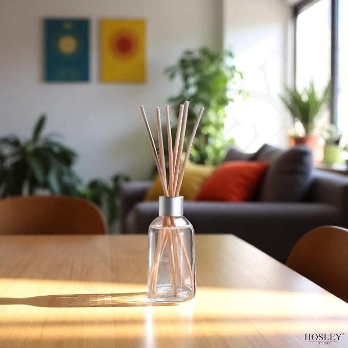 Hosley Cinnamon Roll Reed Diffuser Refill Set of 2-85ml Glass Bottles for Home Decor & Room Decor, Essential Oils Aromatherapy with Long-Lasting Scent to Enhance Your Living Space