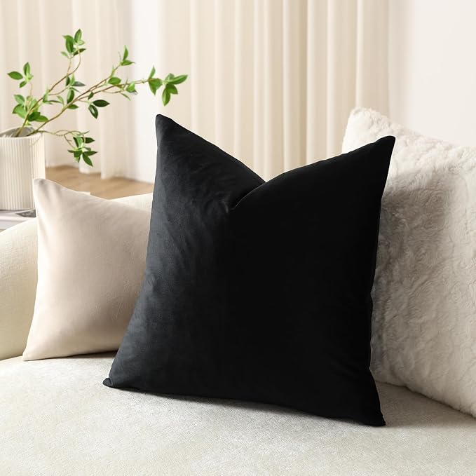 Throw Pillow Covers 16x16 Black: Pack of 2 Cozy Soft Velvet Square Modern Luxury Decorative Throw Pillow Cases for Sofa Couch Living Room Bed Home Decor
