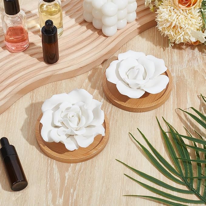 INFUNLY 2 Pcs Rose Essential Oil Diffuser Stone Plaster Scent Diffuser with Round Base 2 Style Roses Diffuser Stone Kit 3.7x3.7 Insertable Reed Rose Aromatherapy Stone for Desk Office Home Gift
