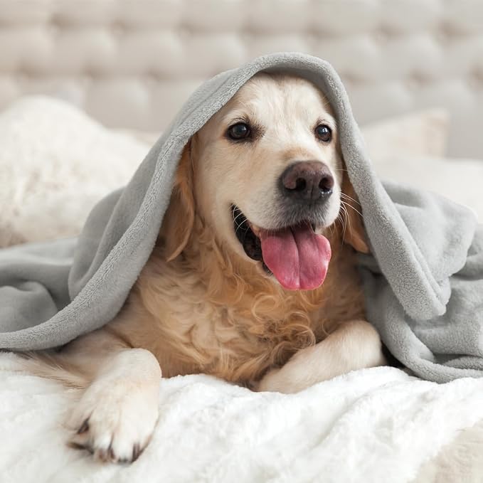 BEDELITE Fleece Blanket Soft Plush Twin Size Blanket Light Grey 60"x80" | Ultra Soft Fleece, Plush Microfiber, Lightweight Warmth, All Season Comfort, Fade Resistant, Machine Washable, Couch Sofa Bed